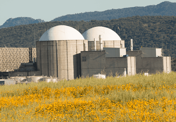 Two large dome-shaped structures at a nuclear power plant with mountains and a field of yellow flowers in the foreground.