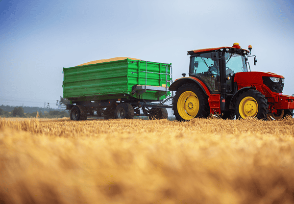 A red tractor towing a green trailer filled with grain in a field.