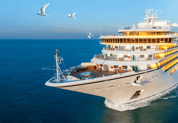 Cruise ship sailing in the ocean with seagulls flying nearby.