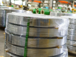 Stainless Steel Strip